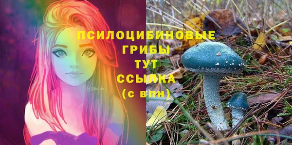 прущая мука Алексеевка
