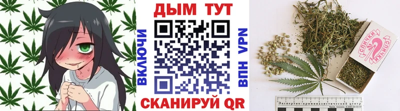 МАРИХУАНА сатива  Ясный 